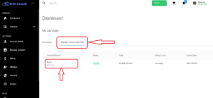 How to log in to the control panel from your Dashboard